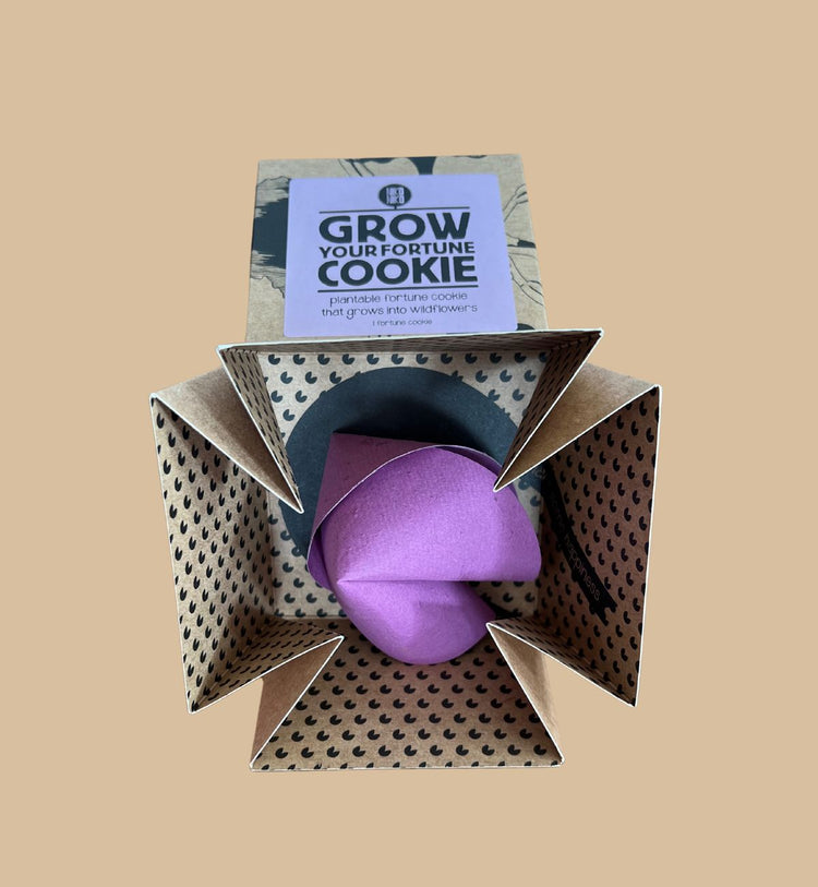 Niko Niko - Grow Your Fortune Cookie