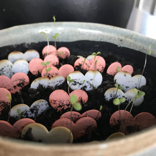 Niko Niko - Throw & Grow Konfetti (Herzform)