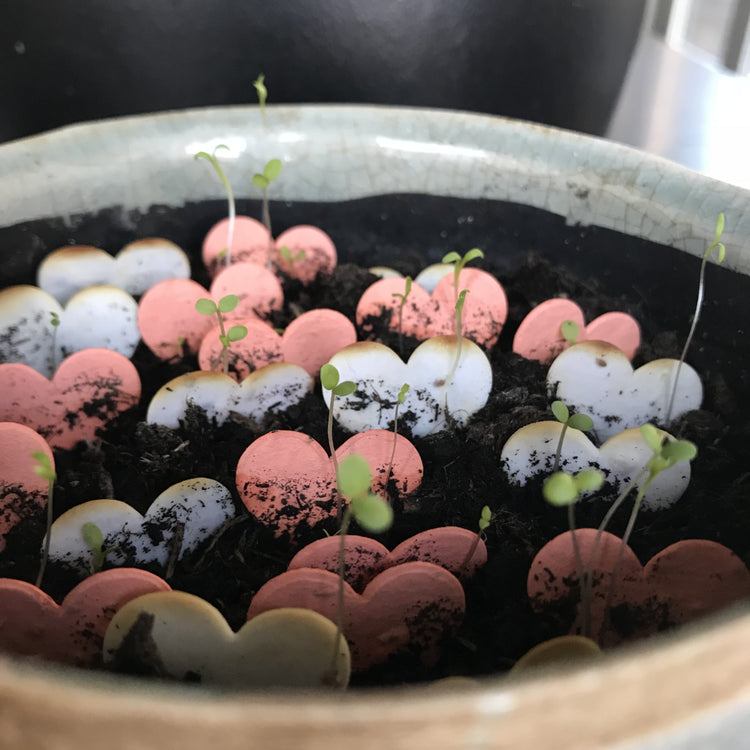 Niko Niko - Throw & Grow Konfetti (Herzform)