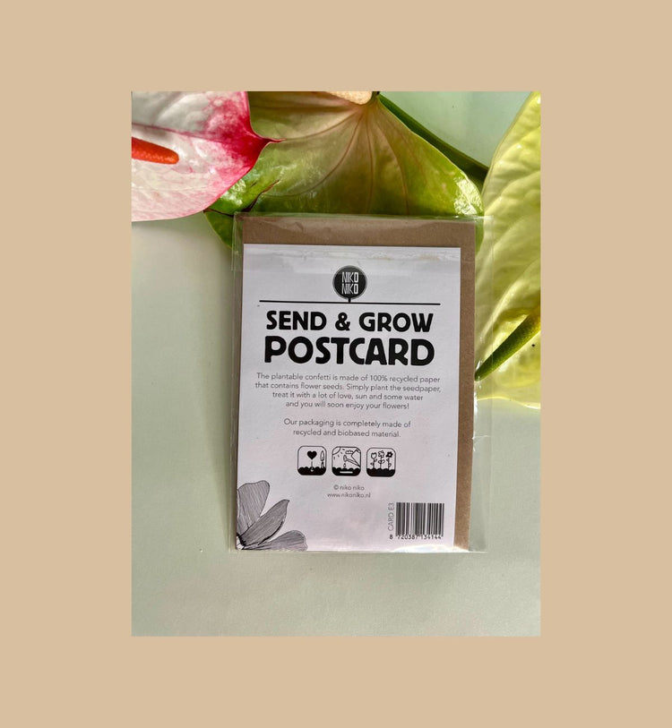 Niko Niko - Send & Grow Postcard mit Umschlag