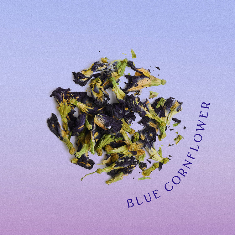 Kornblume