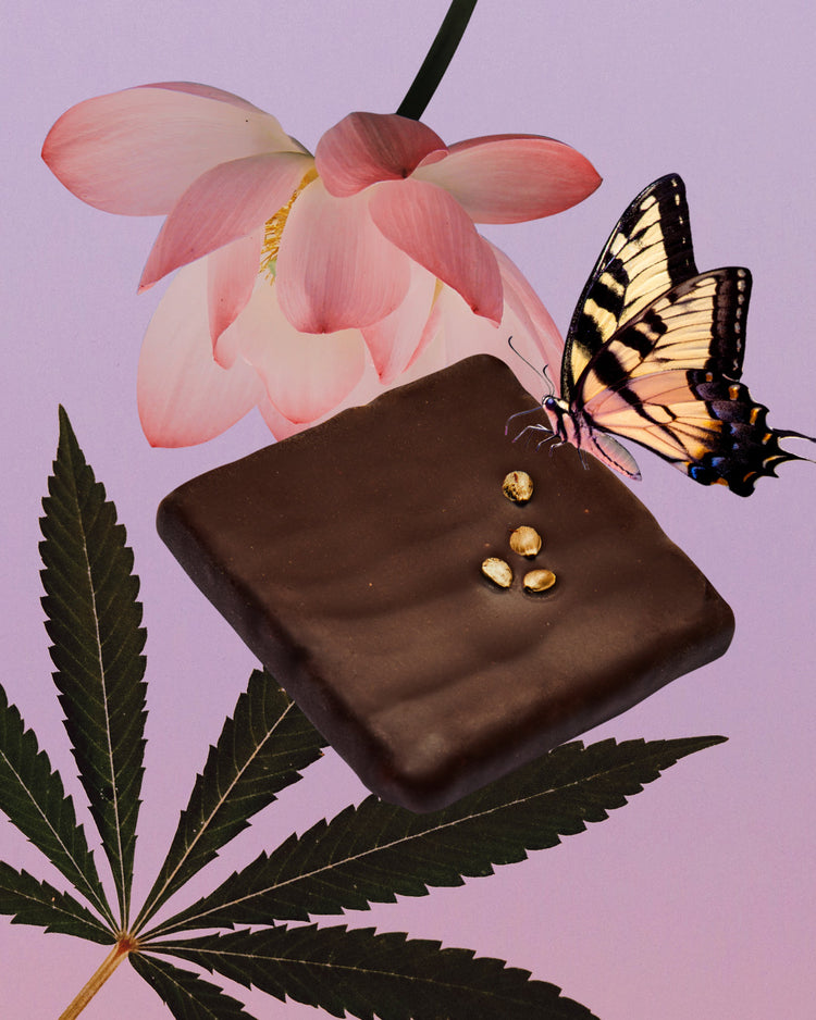 COSMIC DEALER - Geschenkbox - 7 Mini-Chakra-Schokoladen verschiedener Geschmacksrichtungen