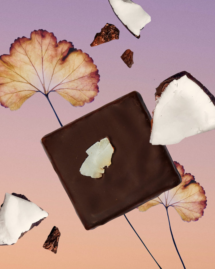 Geröstete Kokosnuss & Kurkuma von Cosmic Dealer