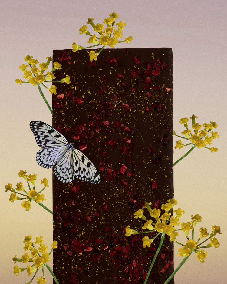 COSMIC DEALER - 85 % Zartbitterschokolade mit Kirsche & wildem Fenchel: Unterstützung bei der Verdauung