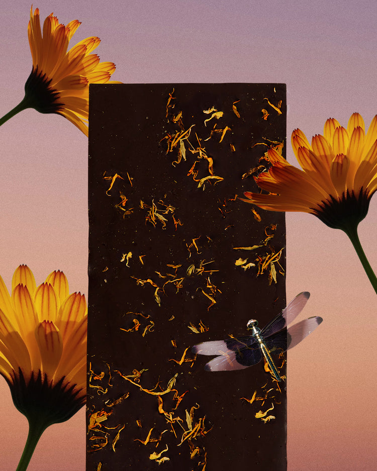 COSMIC DEALER - 85 % Zartbitterschokolade mit Hibiskussalz & Ringelblume: stimmungsaufhellend