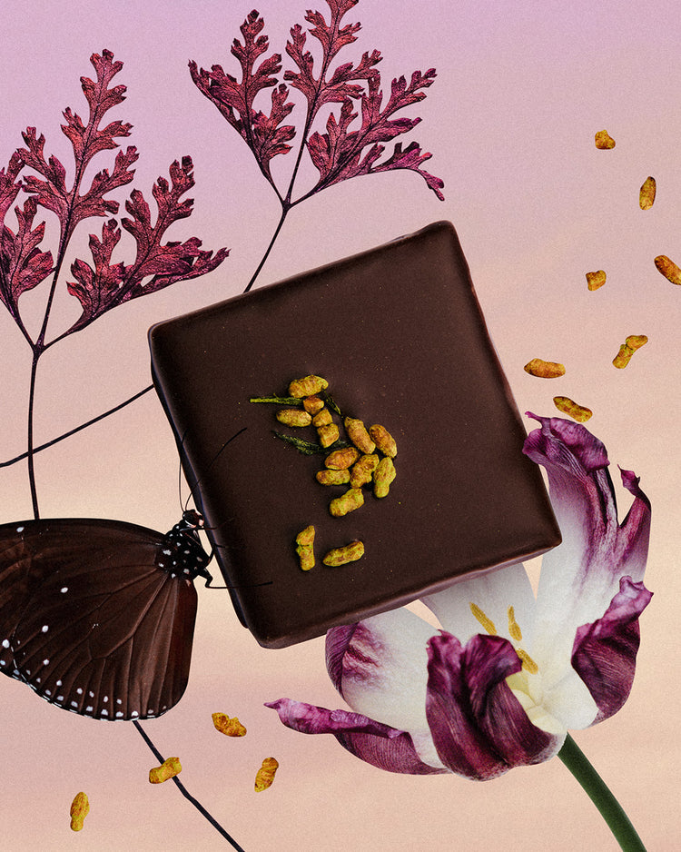 Cosmic Dealer 4er Box - Chakra Schokoladen-Täfelchen Grüner Tee & gepuffter brauner Reis