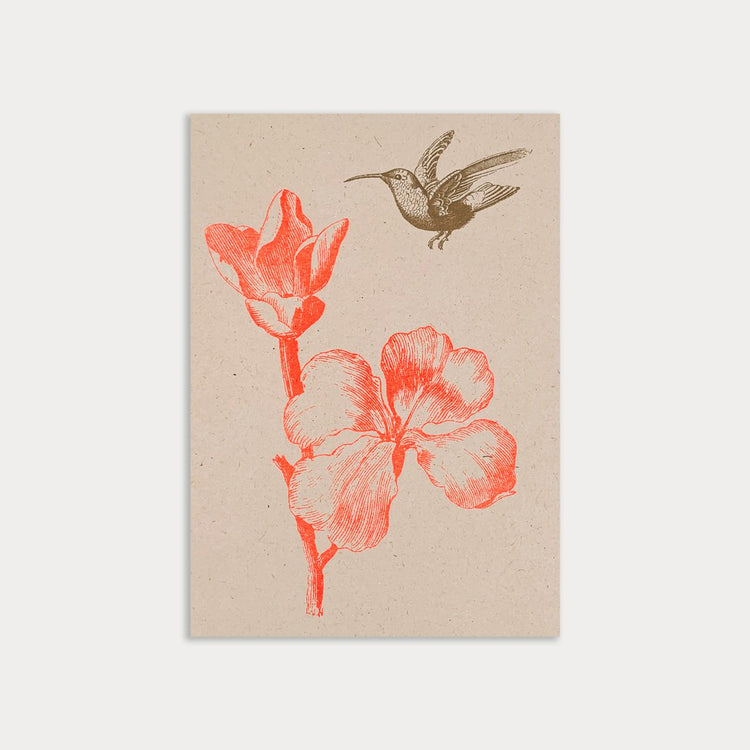 Togethery - Postkarte / Blume mit Kolibri ohne Umschlag