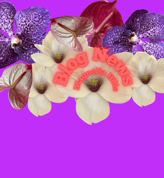 Bild Blog News vom Blog Magnolia Hills