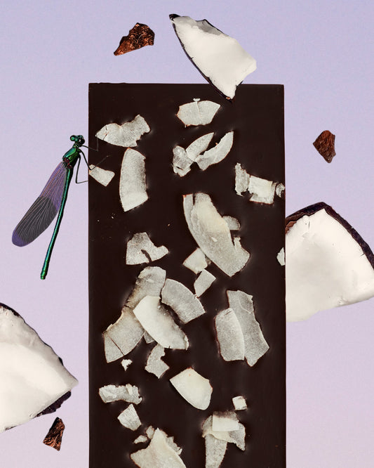 COSMIC DEALER - 85 % Zartbitterschokolade mit Kokosnuss & Chicorée: Unterstützung bei Stress